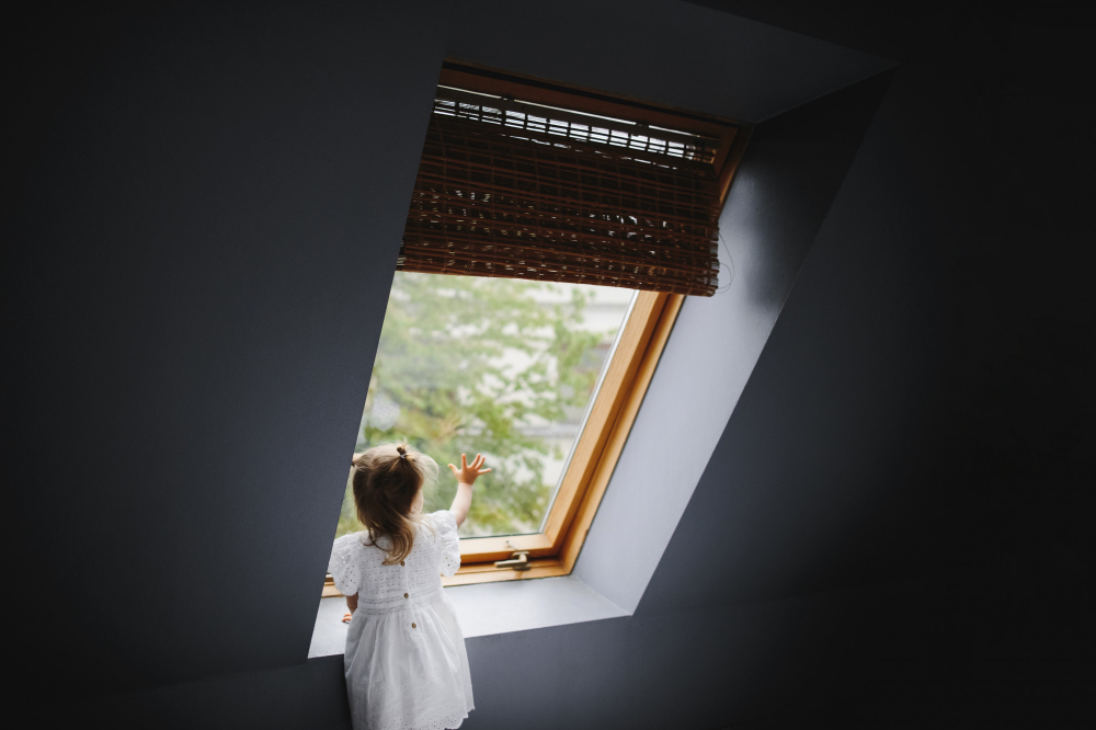 Pose Velux dans le Haut-Rhin
